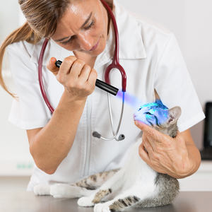 Lámpara UV LED, Linterna <span class=keywords><strong>Ultravioleta</strong></span> de <span class=keywords><strong>365</strong></span> <span class=keywords><strong>nm</strong></span> para Gatos, para Detección de Piel de Mascotas, <span class=keywords><strong>Luz</strong></span> Negra LED UV, Linterna Médica - Product Image 6