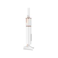 Aspirateur balai sans fil pour poils d'animaux et tapis, aspiration puissante avec station de vidage automatique