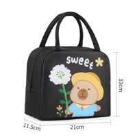 Tas Makan Siang Berinsulasi dengan Ritsleting, Lapisan PEVA Oxford, Desain Lucu untuk Siswa Sekolah Dasar & Pekerja Kantoran