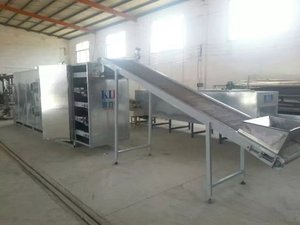 Tùy chỉnh hạt cà phê hệ thống sấy tự động lưới vành đai loại ca cao đậu cau hạt cà phê căn cứ Máy sấy khô máy cung cấp - Product Image 3