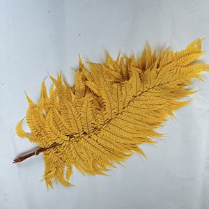 Feuilles de fougère préservées en gros, feuilles de <span class=keywords><strong>Jue</strong></span>, grandes feuilles de <span class=keywords><strong>Jue</strong></span>, petites feuilles, pour la décoration de la maison, la décoration de mariage - Product Image 6