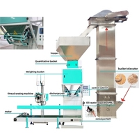 Máquina Ensacadora Semiautomática de Alta Calidad para Pellets de Madera y Alimento para Animales de 15kg, 20kg y 25kg
