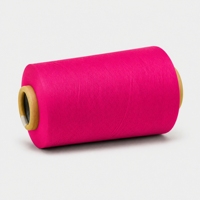 Hilo de Nylon Teñido en Masa Sin Residuos de Tinte, Hilo PA6 Teñido en Solución, Uniformidad de Color Superior, Hilo para Tejer y Coser