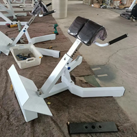 YG-1035 commerciale 45 degrés arrière hyper extension Hyperextension chaise romaine dos Extension Machine