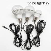 Ampoule LED DC12V pour usage extérieur avec câble de 2,8 m, prise DC5521, interrupteur marche/arrêt, crochet métallique pour un accrochage facile, CRI 80, 6500K