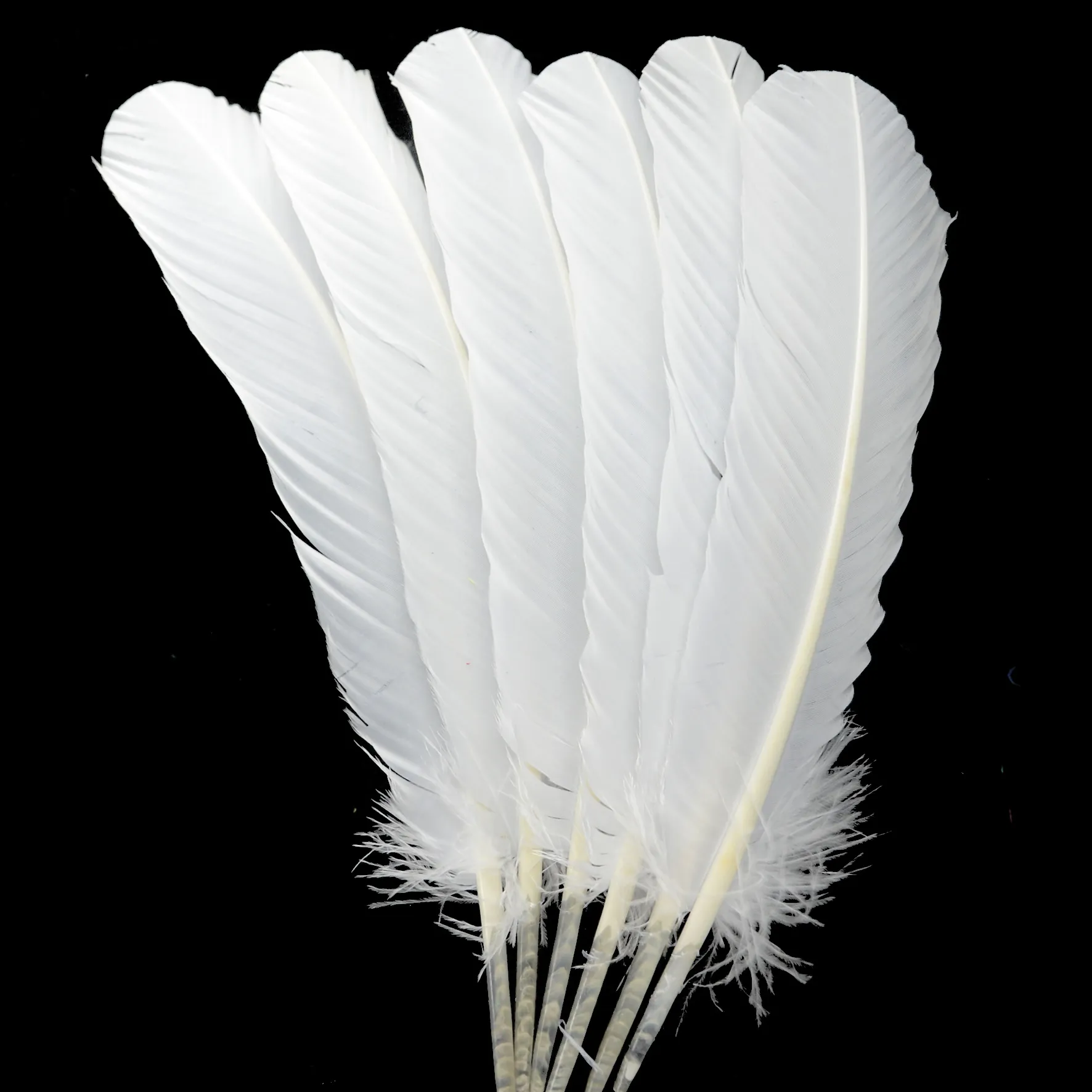 Venta al por mayor de alta calidad HP-16 dyedturkey blanco plumaje águila natural Turquía plumas para la venta