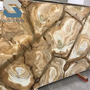 豪华异国情调的金色化石天然石英岩独特的石材木材抛光帕洛米诺板