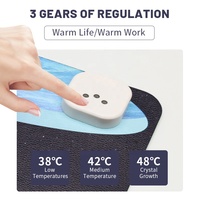 Tapis de souris chauffant pour garder la chaleur électrique Tapis de souris chauffant en PU pour ordinateur portable, bureau et maison