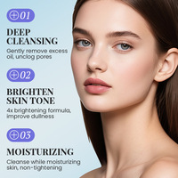 Nettoyant visage hydratant au gel de myrtille, protecteur, doux pour la peau, rafraîchissant, non desséchant, mousse riche, 100g