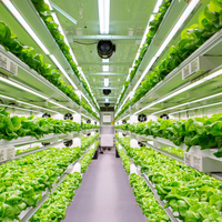Système de culture hydroponique en conteneur pour légumes-feuilles - Agriculture verticale pour la laitue, les épinards, le chou frisé et plus encore