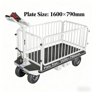 1600*790 मिमी बड़े प्लेटफॉर्म इलेक्ट्रिक ट्रॉली फोल्डेबल डिजाइन 1845x790x1360 मिमी समग्र आकार भारी शुल्क औद्योगिक रसद ओएम - Product Image 2