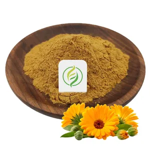 Factory supply 100% pure natural Plant Extract Natural Calendula Officinalis Flower Extract powder Calendula Extract Calendula