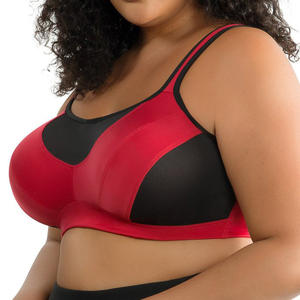 Ladymate ODM/OEM Sujetador Deportivo Mujer Acolchado Correas cruzadas Activewear Deportes Sujetador de talla grande Cobertura completa Yoga Fitness Bra - Product Image 2