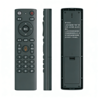Télécommande vocale universelle de remplacement OEM ODM pour tous les modèles