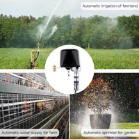 Vanne d'eau intelligente ZigBee3.0, vanne de gaz/eau automatique, contrôleur Wi-Fi, application de contrôle à distance sans fil, fonctionne avec un capteur de fuite d'eau