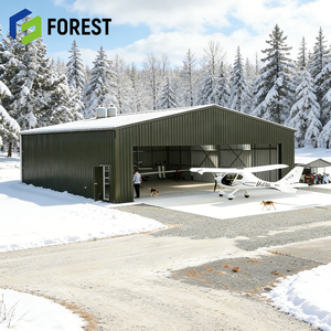 Hangar d'avion en structure acier industrielle moderne, capacité de charge neigeuse pour construction aéroportuaire, prix compétitif - Product Image 1