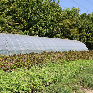 Invernadero Comercial con Estructura Metálica, Túnel Agrícola de Polietileno en Venta - Product Image 1