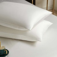 Ensemble de literie quatre pièces en bambou 100% tissé de luxe pour hôtel biologique, non jetable, solide, personnalisable, simple, de qualité, 300 fils, toutes saisons