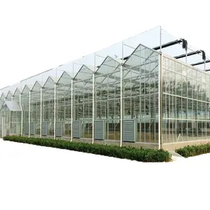 Greenhouse garden agricultural glasshouse for green house frames Vegetable