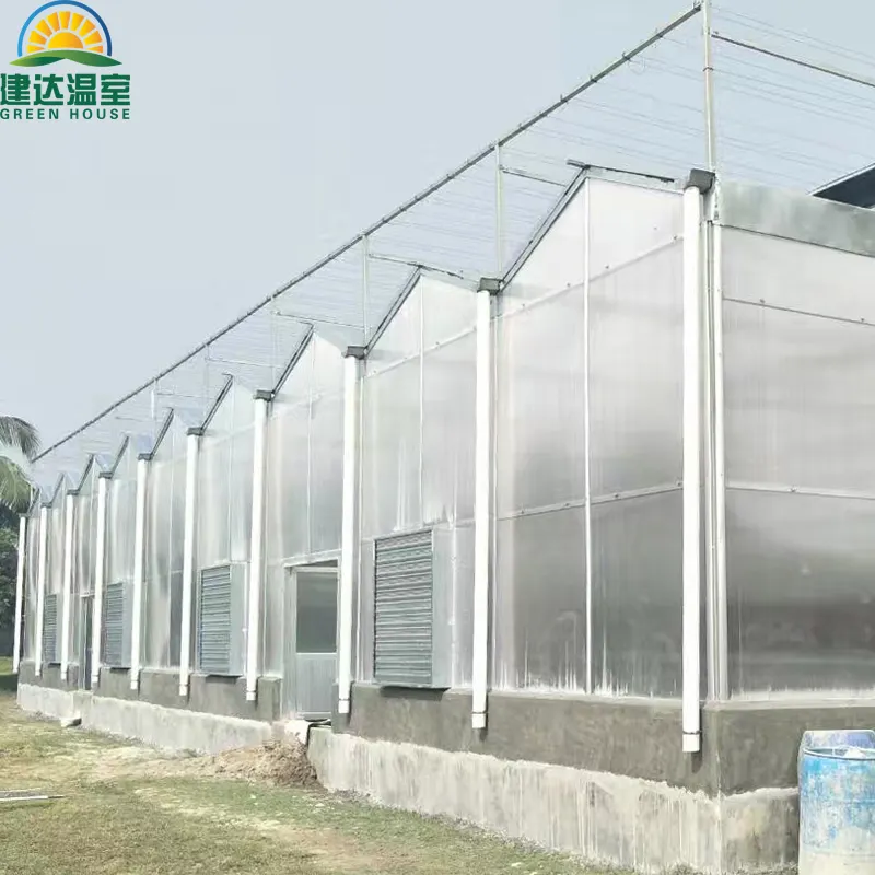 china Das beste gemüseanbau-PC-Bogen Gewächshaus mit guter Wärmedämmfähigkeit für Gemüseanbau SUNSGH Gewächshaus