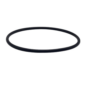 Joints toriques pour bouchons de chlorinateur Hayward Clx200k, lot de 2, accessoire de piscine en caoutchouc compatible avec l'eau salée - Product Image 3