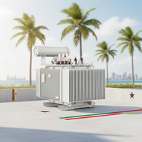 Transformador de Distribución Sumergido en Aceite de 33kV a 400V, 500kVA 1000kVA |   Bobinado de Cobre |   Ahorro de Energía |   para la fábrica de Ghana