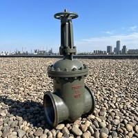 Válvula de Compuerta de Acero Inoxidable (SS) de 4"-24" DN100-DN600, Clase 150, Bridada OS&Y, en Acero Inoxidable 316/304/CF8/CF8M/Duplex/Inconel625