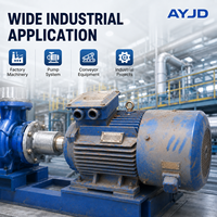 Moteur électrique industriel asynchrone adaptable de 22 kW, triphasé, 4 pôles, 1500 tr/min, utilisé pour les pompes, les compresseurs, usage industriel