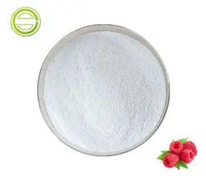 Factory Supplement Weight Loss Pure Nature Fruit Extract Raspberry Ketones Powder