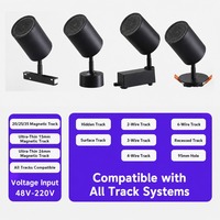 Lampu Sorot Rel Magnetik 48V, Lampu Sorot Rel LED COB yang Dapat Diredupkan dengan Modul Audio Rumah Pintar