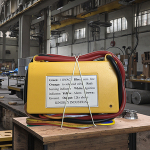 110V Ac Elektronische Puls Gasontsteker Vlambeveiliging Oven Brander Ontstekingsmechanisme Magneetbediening Gasfornuis Ketelonderdelen - Product Image 3