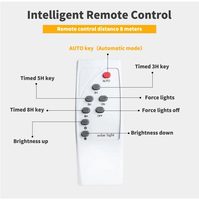 Projecteur solaire LED, 100w, 2 pièces, avec réflecteur, lumière
