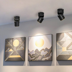 Foco giratorio universal montado en el techo un accesorio de luz LED excepcional montado en la superficie del cilindro - Product Image 3