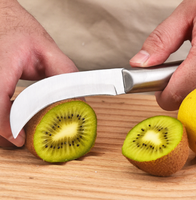 SK5 RVS Fruitmes Gebogen Lemmet Klein Mes voor Fruitwinkels