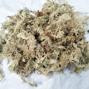 Tappetino in Muschio Sphagnum 5A per Tartarughe, Idratante per l'Hibernazione <span class=keywords><strong>Invernale</strong></span>, per Rettili - Product Image 6