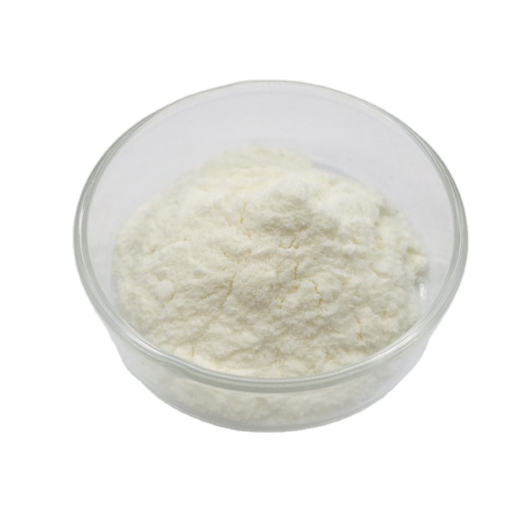 Organic Certificate Sea Cucumber Protein 60% Powder