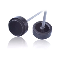 DM1000 Sensor ultrasonik frekuensi tinggi, Sensor ultrasonik 20.5mm 1MHz untuk pengukuran aliran meteran air akurat Tiongkok