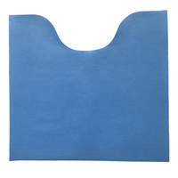 Tapis de porte d'entrée domestique tapis de sol salle de bain toilette absorbant tapis antidérapant
