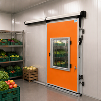 Porte coulissante CA à haute étanchéité avec double joint d'étanchéité, fenêtre à rétention thermique, pour entrepôt de maturation des fruits, porte coulissante CA pour chambre froide