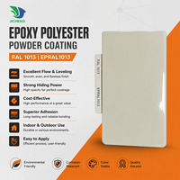 Peintures en poudre époxy électrostatiques gris RAL1013 pour maisons, fourniture d'usine