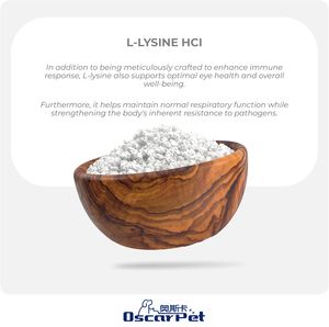 Suppléments nutritionnels <span class=keywords><strong>pour</strong></span> animaux de compagnie personnalisés <span class=keywords><strong>en</strong></span> usine <span class=keywords><strong>Lysine</strong></span> <span class=keywords><strong>poudre</strong></span> immunitaire <span class=keywords><strong>pour</strong></span> chats soutient le système immunitaire et la santé respiratoire <span class=keywords><strong>Lysine</strong></span> - Product Image 3
