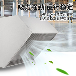 Ventilador axial a prueba de explosiones Sef/Wexd-300 de 30 pulgadas, de acero, para montaje en pared, eléctrico, blanco - Product Image 5