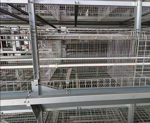 Neue H Geflügelzuchtausrüstung Hochwertiges Automatisches Eiersammelsystem Präzise Temperaturkontrolle für Hühner-Legehennenkäfige - Product Image 3