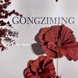 <span class=keywords><strong>Flores</strong></span> de papel de espuma para pasillo de boda personalizadas con diseños de malla de seda y accesorios de exhibición de ventanas <span class=keywords><strong>Arreglos</strong></span> de decoración de boda - Product Image 5