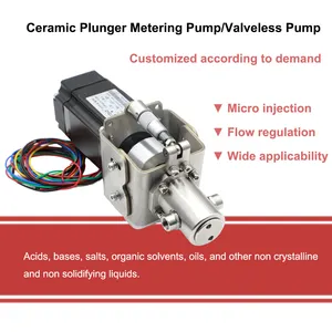 Micro addition remplissage quantitatif pompe à piston sans valve dosage réglable pompe doseuse d'injection de liquide en céramique