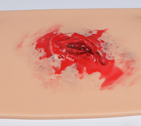 Kit de formation au moulage de traumatismes avec sac de réservoir portable à débit de sang réglable, module cutané remplaçable et comparaison des plaies sur le même site