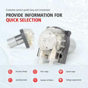 مضخة تمعجية صغيرة من ليفو بمحرك تيار مستمر 12 فولت، مضخة تمعجية <span class=keywords><strong>24</strong></span> فولت لآلة القهوة والمياه والمشروبات - Product Image 2