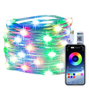 WS2812 Wasser beständige Weihnachten Outdoor 5V DIY LED String Transparente Pendel leuchte Kabel Draht für Hochzeit Lawn Yard Decor