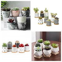 Ensemble d'animaux hibou et renard, mini pot à succulentes mignon, pot à fleurs en céramique, pots de plantes