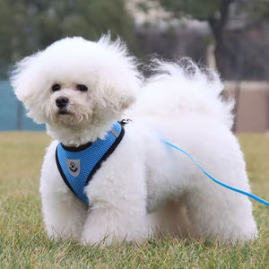 Nouveau Harnais Réfléchissant pour Chien en Nylon et Polyester Respirant, Harnais de Promenade Extérieur avec Laisse pour Chats et Chiens - Product Image 1